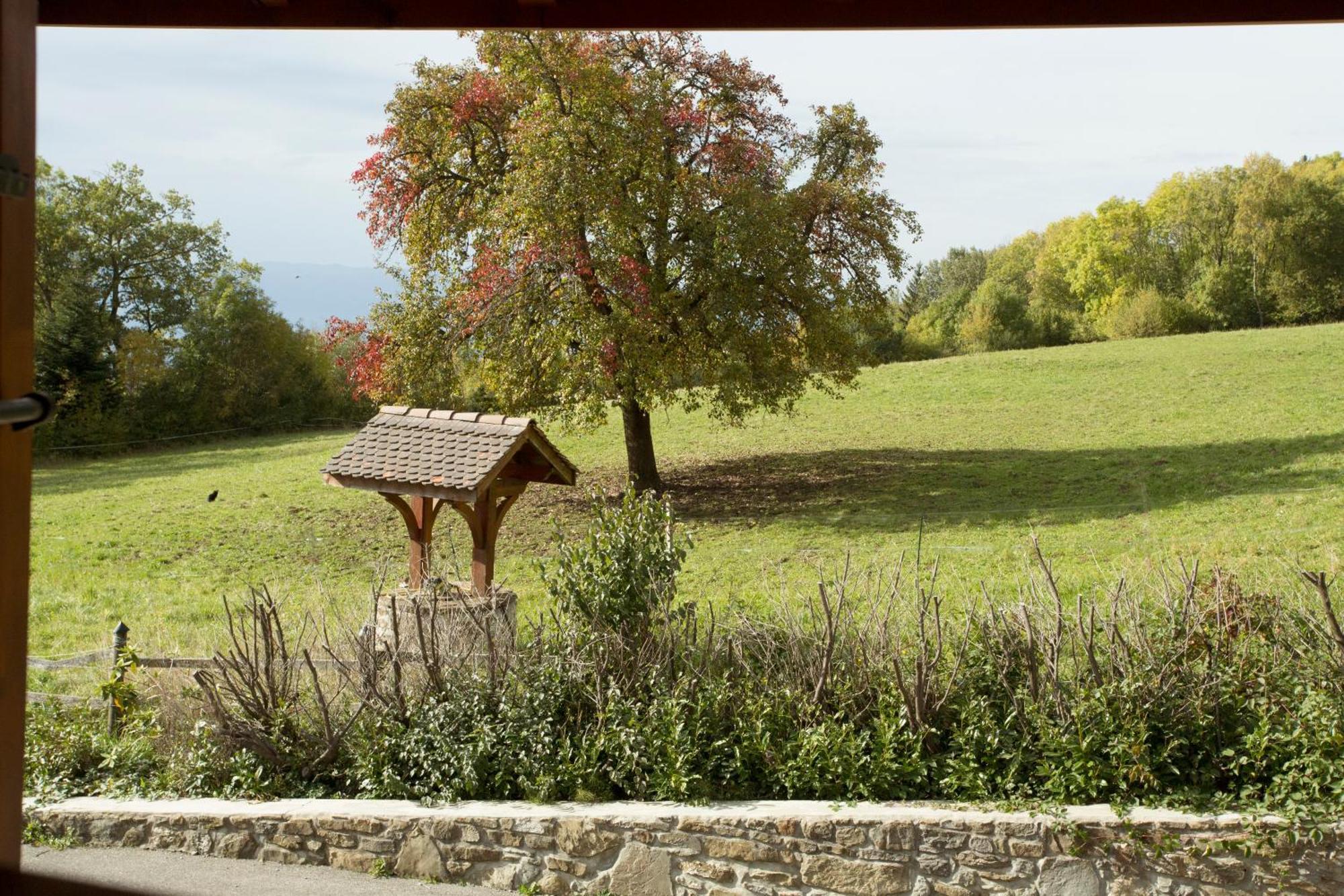 Le Bonheur Dans Le Pre Hotel Lucinges Exterior foto